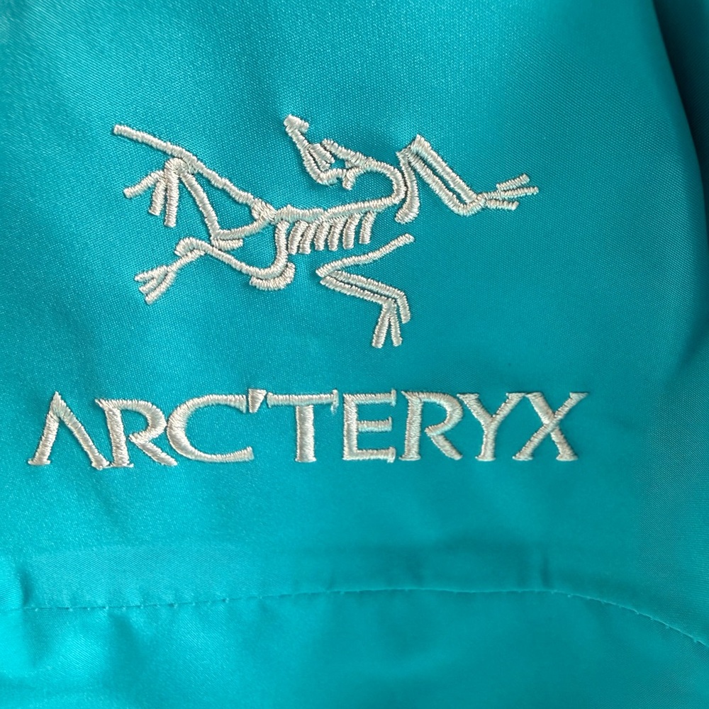 Arc’teryx Alpha SV - Large - Picture 11 of 16